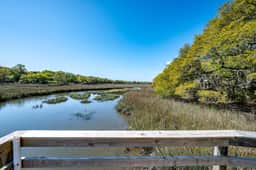 Modern, Dog-Friendly Marsh Retreat