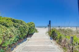 Oceanfront beach condo with WiFi, washer/dryer, pool - snowbirds welcome - Image 4