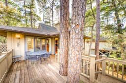Beautiful Home in the Woods with Updated Amenities and Shared Pool - Image 2