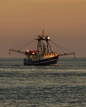 A Working Waterfront.