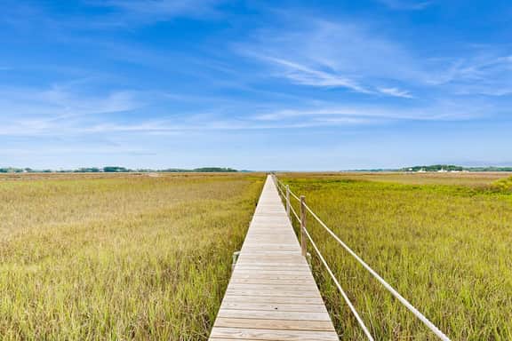 Charming Coastal Condo, with Shared Pool, Fitness Center & Dock