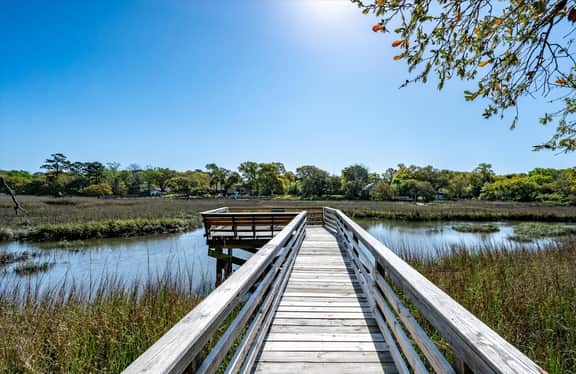 Modern, Dog-Friendly Marsh Retreat