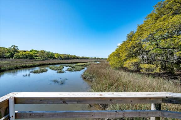Modern, Dog-Friendly Marsh Retreat