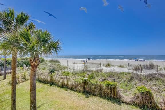 Oceanfront beach condo with WiFi, washer/dryer, pool - snowbirds welcome - Image 3