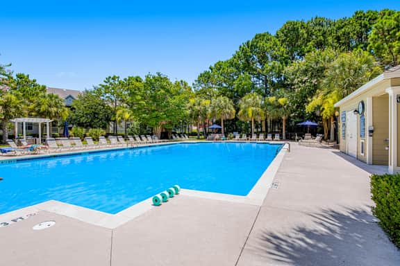 Fully-furnished first-floor condo with pool & private washer/dryer- dog-friendly - Image 3